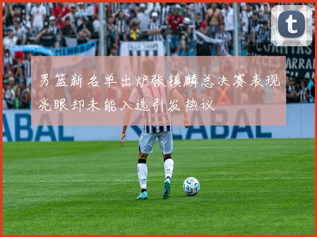 男篮新名单出炉张镇麟总决赛表现亮眼却未能入选引发热议